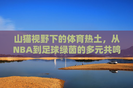 山猫视野下的体育热土,从NBA到足球绿茵的多元共鸣,山猫视野下的体育热土,NBA与足球的多元共鸣
