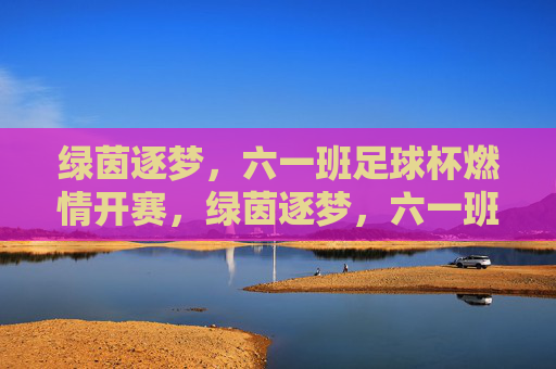 绿茵逐梦,六一班足球杯燃情开赛,绿茵逐梦,六一班足球杯燃情开赛