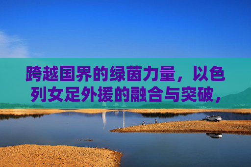 跨越国界的绿茵力量，以色列女足外援的融合与突破，绿茵无国界，以色列女足外援的融合与突破