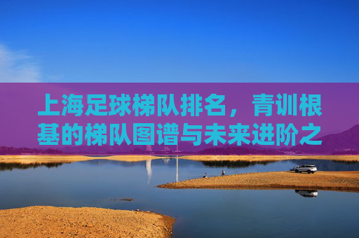上海足球梯队排名,青训根基的梯队图谱与未来进阶之路,上海足球梯队图谱,青训根基与未来进阶之路