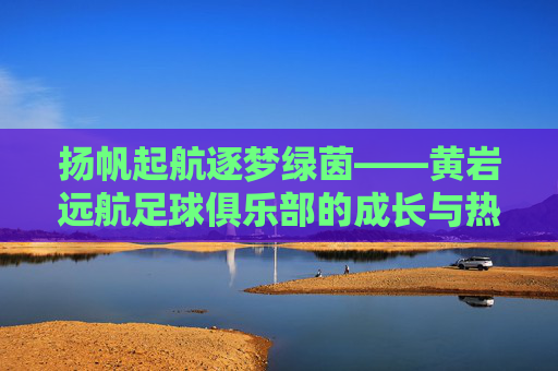 扬帆起航逐梦绿茵——黄岩远航足球俱乐部的成长与热爱，黄岩远航，逐梦绿茵的成长与热爱