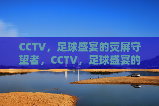 CCTV,足球盛宴的荧屏守望者,CCTV,足球盛宴的荧屏守望者