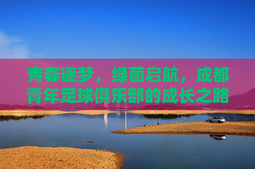 青春逐梦，绿茵启航，成都青年足球俱乐部的成长之路，青春逐梦，绿茵启航，成都青年足球俱乐部的成长之路