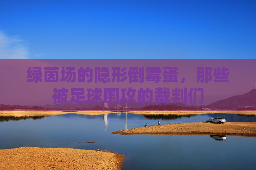 绿茵场的隐形倒霉蛋,那些被足球围攻的裁判们