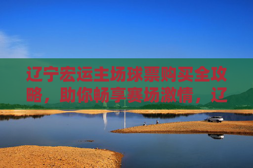 辽宁宏运主场球票购买全攻略，助你畅享赛场激情，辽宁宏运主场球票购买全攻略，畅享赛场激情