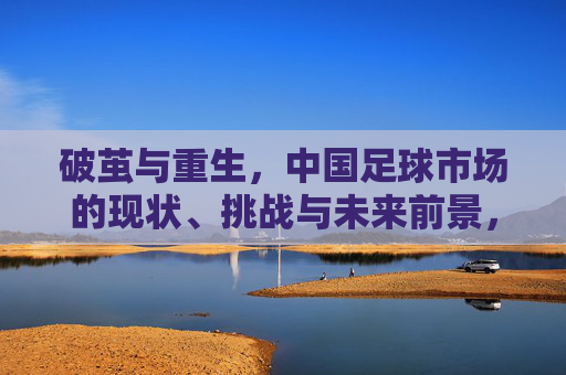 破茧与重生,中国足球市场的现状、挑战与未来前景,破茧与重生,中国足球市场的现状、挑战与未来