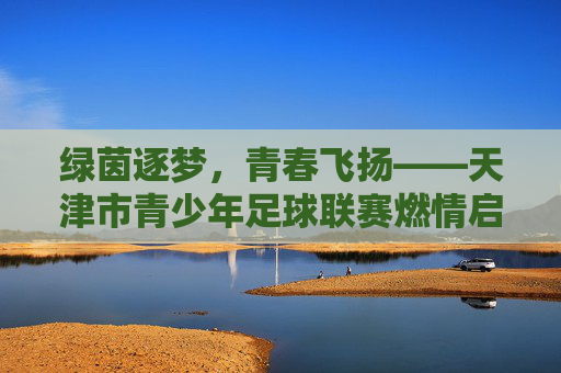 绿茵逐梦，青春飞扬——天津市青少年足球联赛燃情启幕，绿茵逐梦，青春飞扬——天津市青少年足球联赛燃情启幕