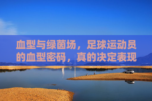 血型与绿茵场,足球运动员的血型密码,真的决定表现吗?血型密码,足球运动员表现真的由它决定?