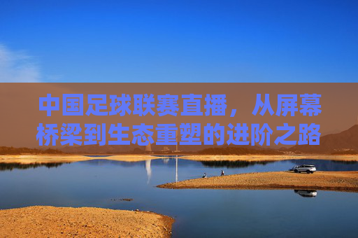中国足球联赛直播，从屏幕桥梁到生态重塑的进阶之路，中国足球联赛直播，从屏幕桥梁到生态重塑的进阶