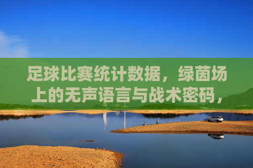 足球比赛统计数据,绿茵场上的无声语言与战术密码,足球统计数据,绿茵场的无声战术密码