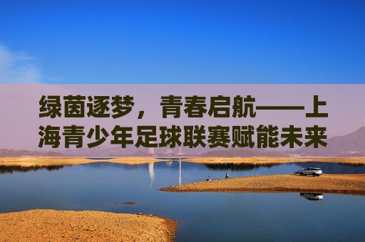 绿茵逐梦，青春启航——上海青少年足球联赛赋能未来足球之星，逐梦绿茵，青春启航——上海青少年足球联赛育未来之星