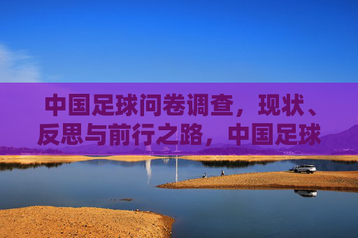 中国足球问卷调查，现状、反思与前行之路，中国足球问卷调查，现状、反思与前行之路
