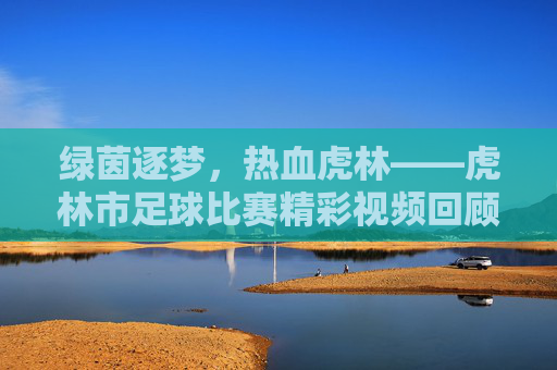 绿茵逐梦,热血虎林——虎林市足球比赛精彩视频回顾,虎林绿茵逐梦,足球比赛精彩视频回顾
