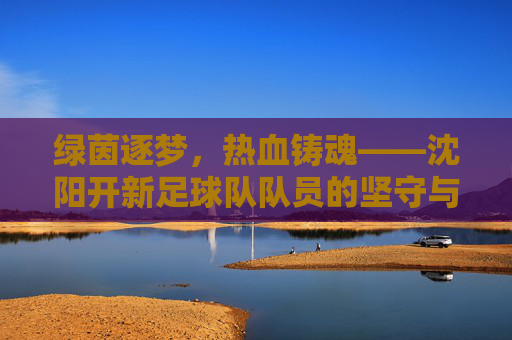 绿茵逐梦,热血铸魂——沈阳开新足球队队员的坚守与荣光,绿茵逐梦热血铸魂——沈阳开新队员的坚守与荣光