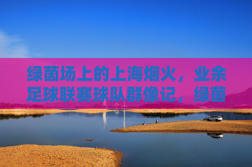 绿茵场上的上海烟火,业余足球联赛球队群像记,绿茵烟火,上海业余球队群像记