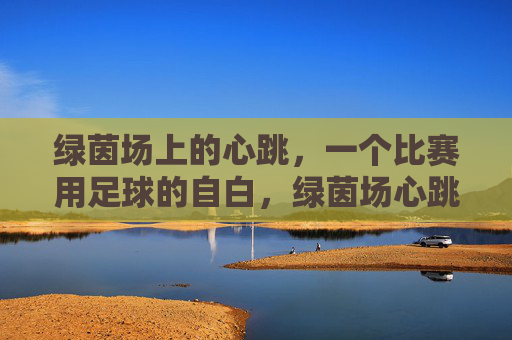 绿茵场上的心跳，一个比赛用足球的自白，绿茵场心跳，足球的自白