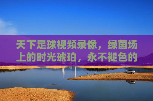 天下足球视频录像，绿茵场上的时光琥珀，永不褪色的足球记忆，绿茵时光琥珀，永不褪色的足球记忆