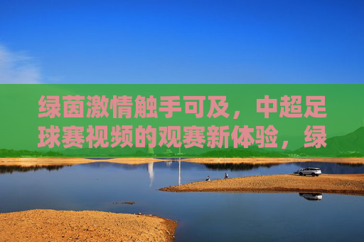 绿茵激情触手可及，中超足球赛视频的观赛新体验，绿茵激情触手可及，中超足球赛视频新体验