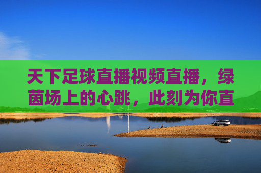 天下足球直播视频直播，绿茵场上的心跳，此刻为你直播，绿茵心跳，天下足球直播