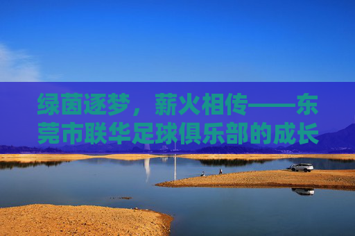 绿茵逐梦，薪火相传——东莞市联华足球俱乐部的成长之路，绿茵逐梦薪火传，联华足球俱乐部成长之路