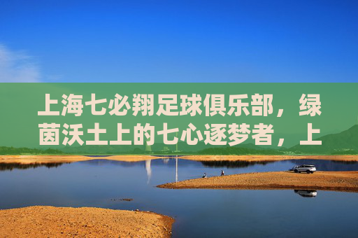 上海七必翔足球俱乐部,绿茵沃土上的七心逐梦者,上海七必翔,绿茵沃土上的七心逐梦者