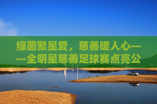 绿茵聚星爱，慈善暖人心——全明星慈善足球赛点亮公益之光，全明星慈善足球赛，绿茵聚爱，点亮公益