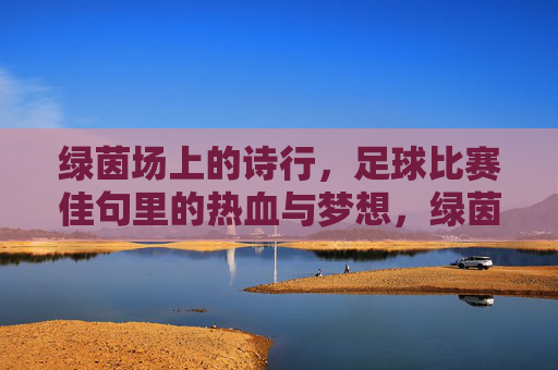 绿茵场上的诗行，足球比赛佳句里的热血与梦想，绿茵诗行，热血与梦想的赛场韵律