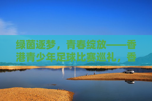 绿茵逐梦,青春绽放——香港青少年足球比赛巡礼,香港青少年足球,青春逐梦绿茵场