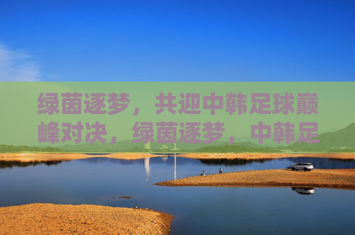 绿茵逐梦,共迎中韩足球巅峰对决,绿茵逐梦,中韩足球巅峰对决