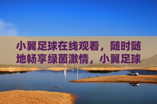 小翼足球在线观看,随时随地畅享绿茵激情,小翼足球在线观看,随时随地畅享绿茵激情