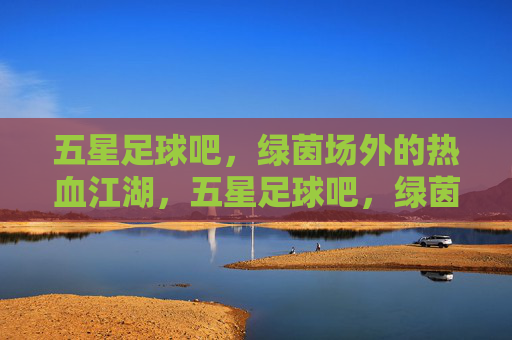 五星足球吧，绿茵场外的热血江湖，五星足球吧，绿茵场外的热血江湖