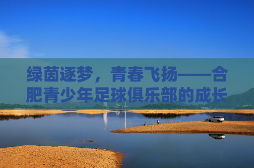 绿茵逐梦，青春飞扬——合肥青少年足球俱乐部的成长与希望，绿茵逐梦，青春飞扬