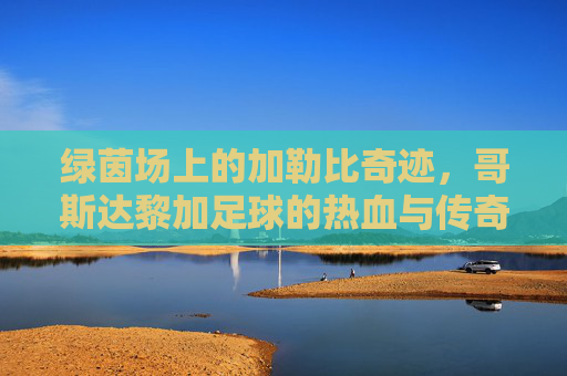 绿茵场上的加勒比奇迹,哥斯达黎加足球的热血与传奇,加勒比奇迹,哥斯达黎加足球传奇