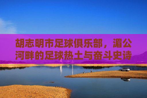 胡志明市足球俱乐部,湄公河畔的足球热土与奋斗史诗,湄公河畔的足球热土与奋斗史诗