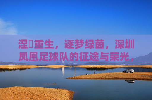 涅槃重生，逐梦绿茵，深圳凤凰足球队的征途与荣光，涅槃重生逐梦绿茵，深圳凤凰足球队的征途与荣光
