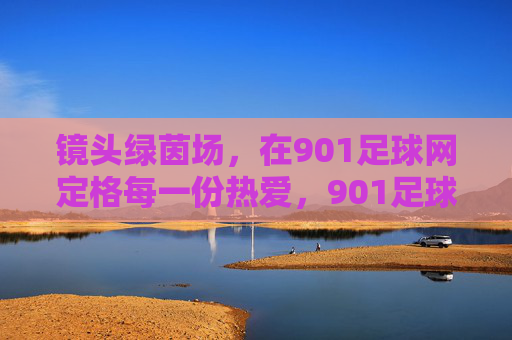 镜头绿茵场，在901足球网定格每一份热爱，901足球网，镜头定格绿茵场每一份热爱