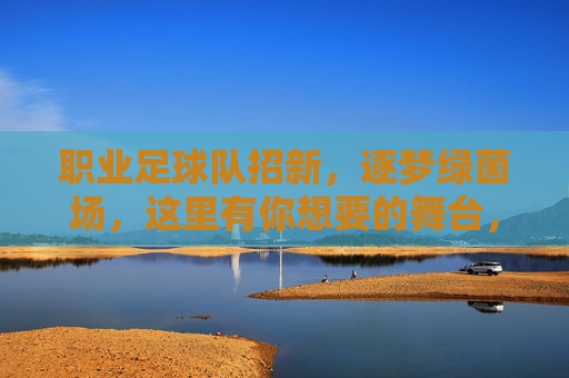 职业足球队招新，逐梦绿茵场，这里有你想要的舞台，职业足球队招新，逐梦绿茵场，舞台为你