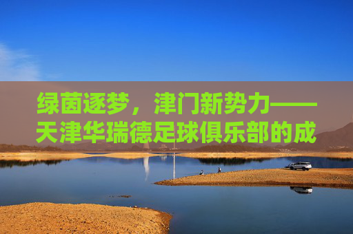 绿茵逐梦,津门新势力——天津华瑞德足球俱乐部的成长与坚守,绿茵逐梦,津门新势力——天津华瑞德足球俱乐部的成长与坚守