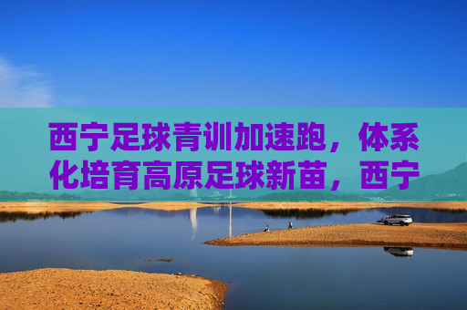 西宁足球青训加速跑,体系化培育高原足球新苗,西宁足球青训体系化加速跑 育高原足球新苗