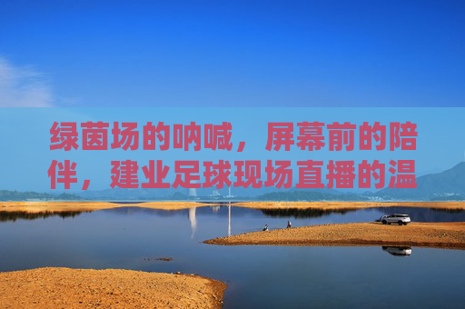 绿茵场的呐喊,屏幕前的陪伴,建业足球现场直播的温度与力量,绿茵呐喊,屏幕陪伴,建业足球直播的温度与力量
