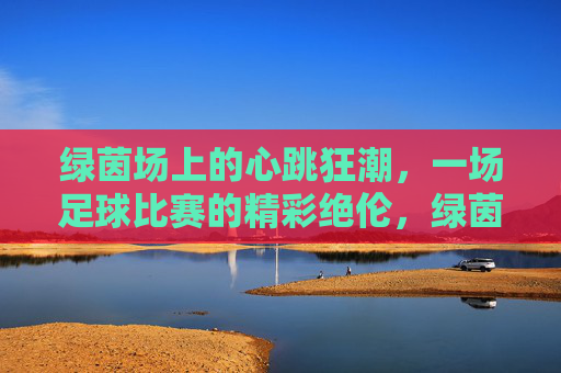 绿茵场上的心跳狂潮,一场足球比赛的精彩绝伦,绿茵心跳狂潮,足球赛精彩绝伦