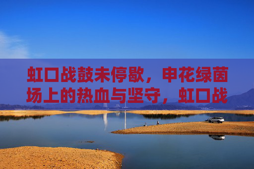 虹口战鼓未停歇，申花绿茵场上的热血与坚守，虹口战鼓未停歇，申花绿茵热血坚守