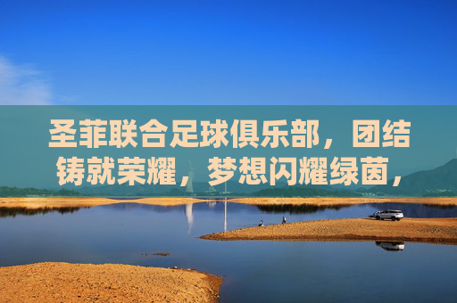 圣菲联合足球俱乐部,团结铸就荣耀,梦想闪耀绿茵,圣菲联合,团结铸荣耀,梦想耀绿茵