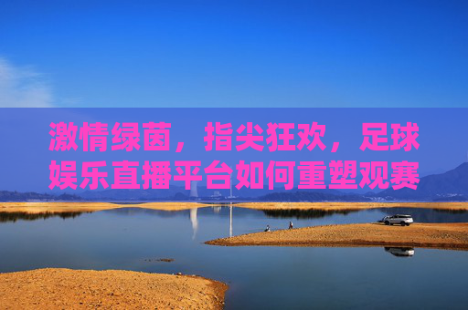 激情绿茵,指尖狂欢,足球娱乐直播平台如何重塑观赛体验?
