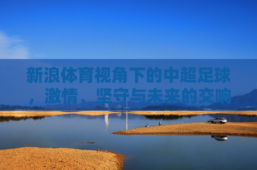新浪体育视角下的中超足球,激情、坚守与未来的交响