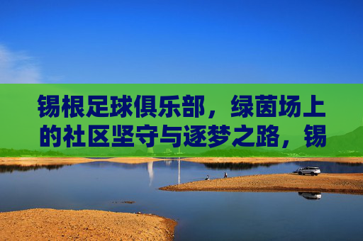 锡根足球俱乐部，绿茵场上的社区坚守与逐梦之路，锡根足球俱乐部，绿茵场上的社区坚守与逐梦之路