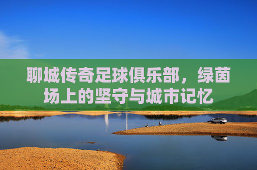 聊城传奇足球俱乐部,绿茵场上的坚守与城市记忆