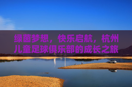 绿茵梦想，快乐启航，杭州儿童足球俱乐部的成长之旅，杭州儿童足球俱乐部，绿茵梦想的快乐成长之旅