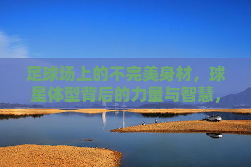 足球场上的不完美身材,球星体型背后的力量与智慧,足球场上的不完美身材,球星体型里的力量与智慧