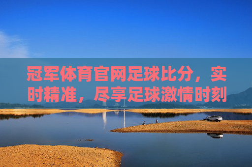 冠军体育官网足球比分，实时精准，尽享足球激情时刻，冠军体育官网足球比分，实时精准，尽享足球激情时刻